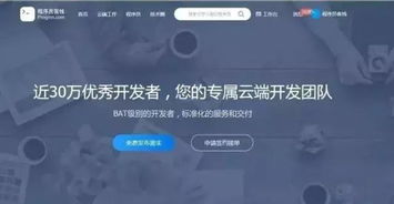 CSDN軟件外包服務(wù) 接私活的靠譜平臺探索